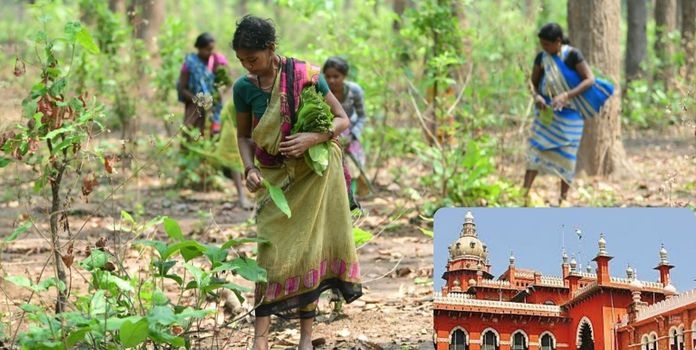 Women from tribal communities in Tamil Nadu entitled to equal share in family property under Hindu Succession Act