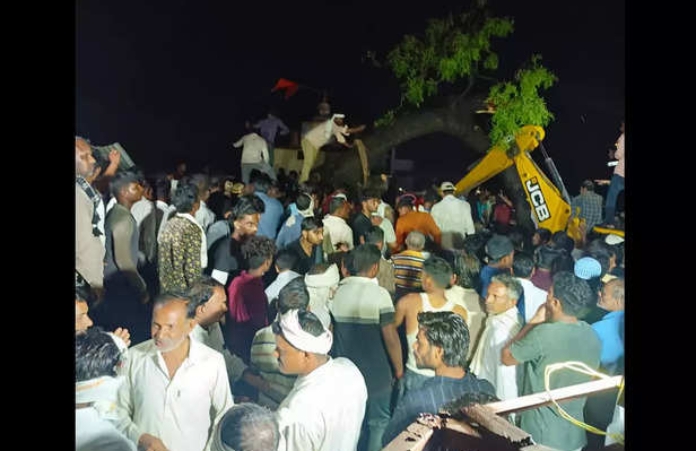 tree-fell-in-the-temple-area