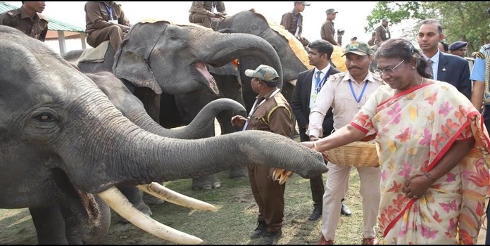 gaj utsav