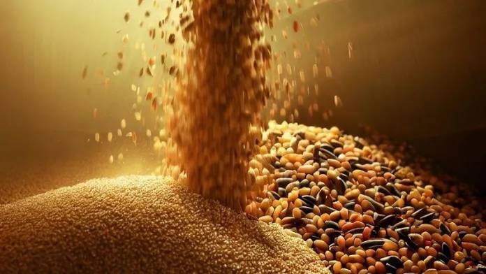 india-to-send-20000-metric-tons-food-grains-to-afghanistan-via-chabahar-port-iran-humanitarian-aid