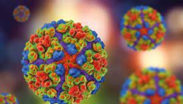 Article On chikungunya symptoms