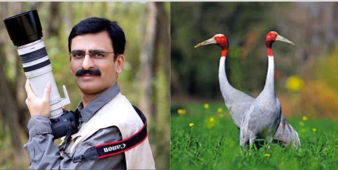 Article On Wildlife Photographer Sanjeev Bhor