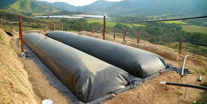 Article On Biogas Makes Green Economy