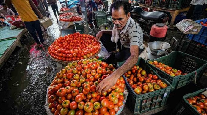 Central Government Purchased Tomato From Maharashtra Karnataka