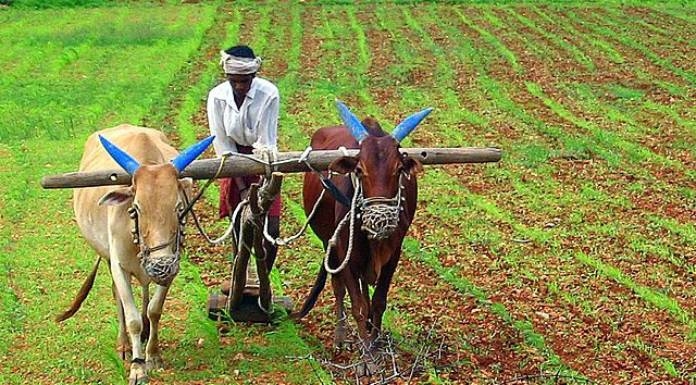 Pradhan Mantri Crop Insurance Scheme Camp