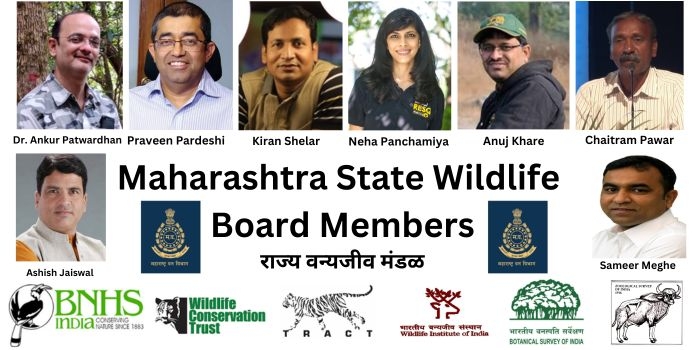 state wildlife board