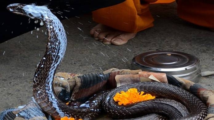 Article On Hindu Festival Nag Panchami 