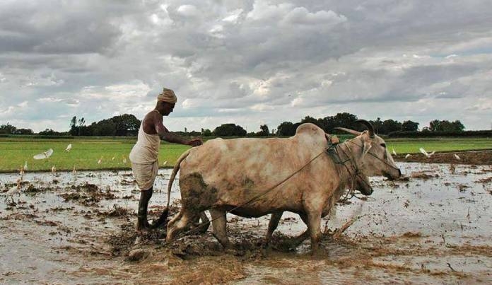Pradhan Mantri Crop Insurance Scheme In Thane