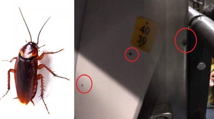 Pest control in train's AC coaches at Pune stn to drive away cockroaches 