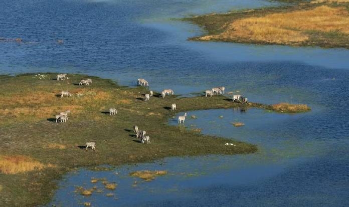 Oil drilling threatens the Okavango River Basin