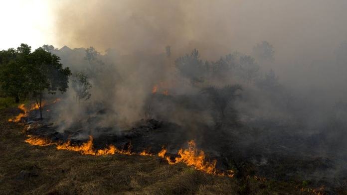 Indonesia battles forest fires as dry season continues