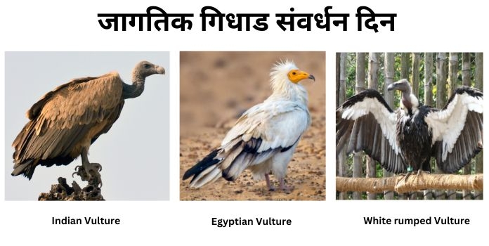 Vulture awareness day 