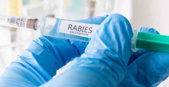 rabies