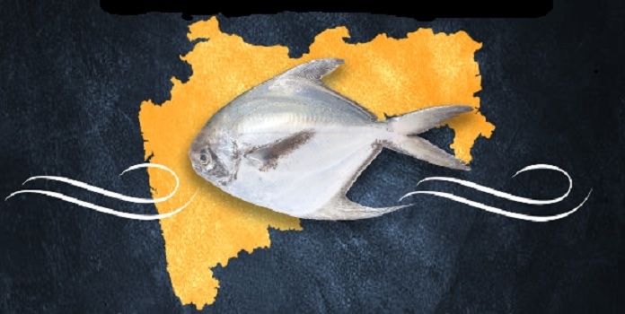 silver pomfret fish of maharashtra
