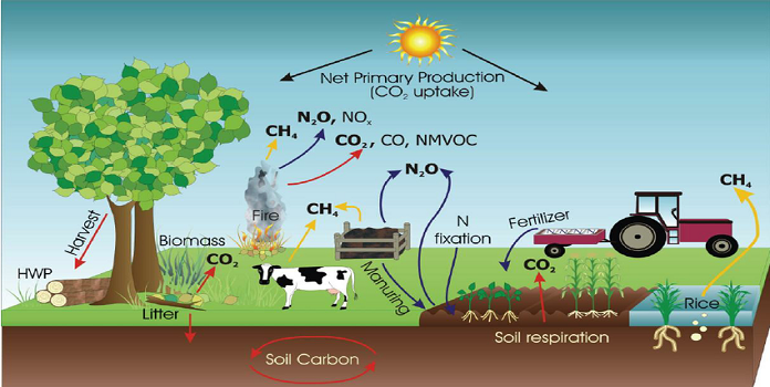 greenhouse gas emission