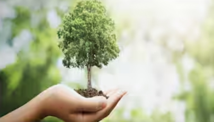 Non-agricultural tax