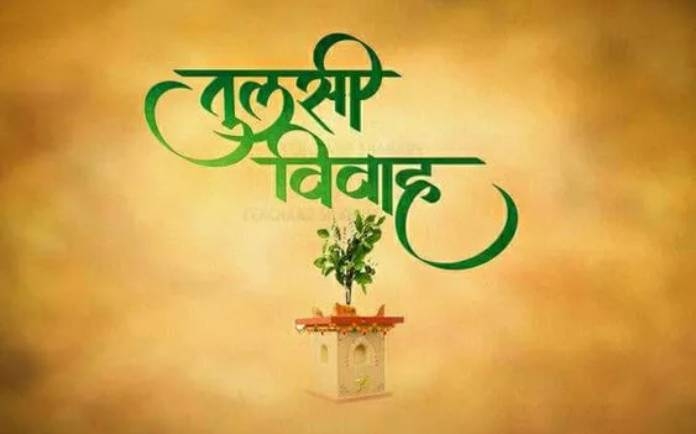 tulsi vivah tulsi vivah