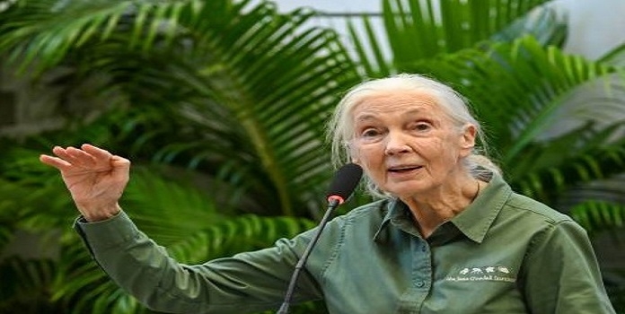 Dr. jane goodall
