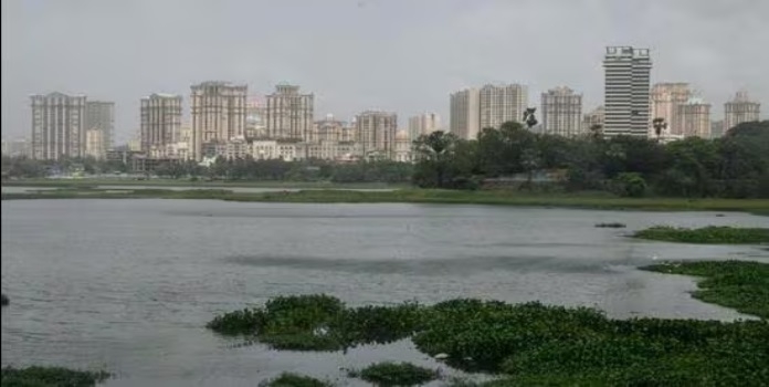 wetlands day