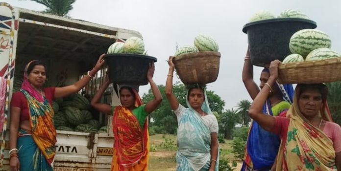 social and economic empowerment of women