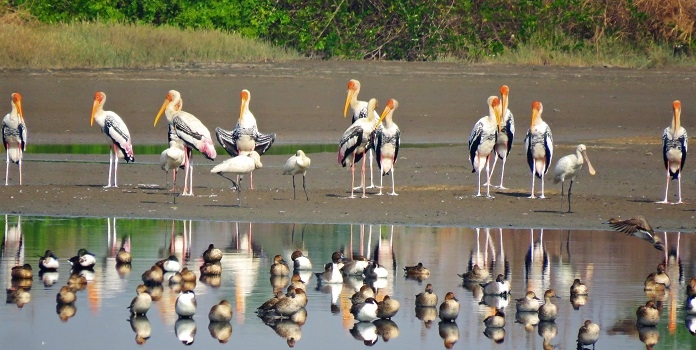 uran wetland