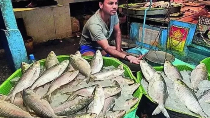 Bangladesh Banned Fish Export