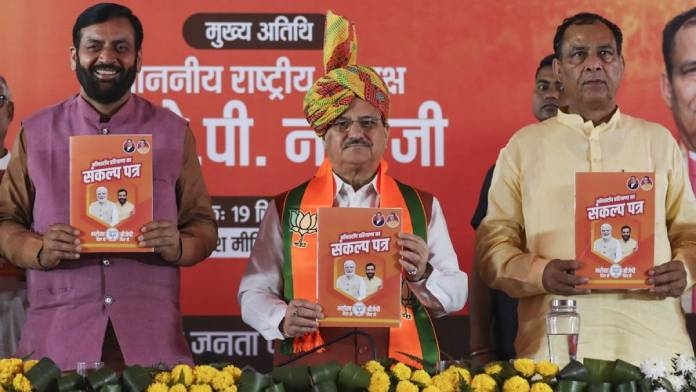bjp manifesto