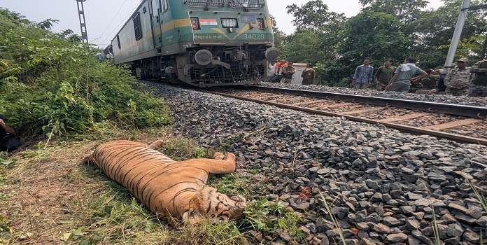 gondia-balharshah railway