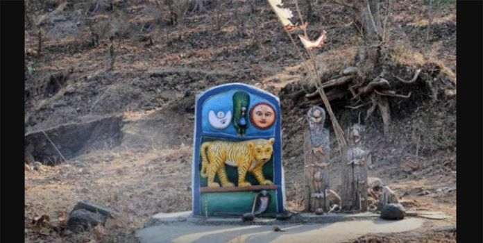 ‘वाघबारस’