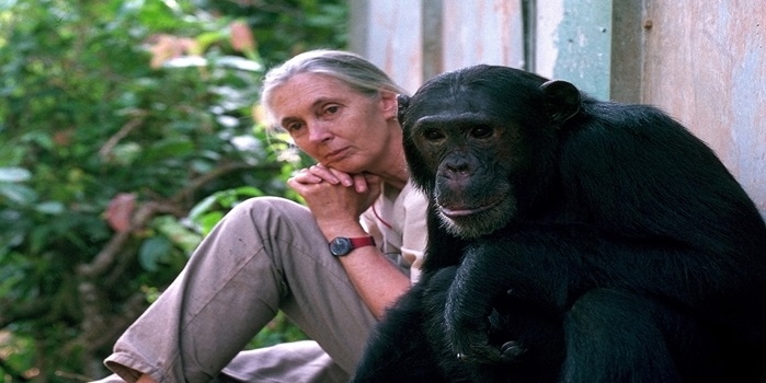 Dr. Jane goodall