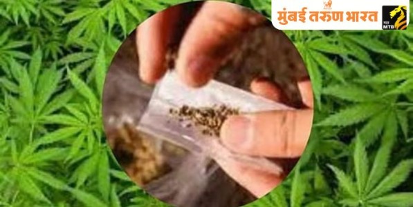 अवैधरित्या तंबाखुजन्य पदार्थाची वाहतुक करणा-या वाहनासह ३३ लाख रुपये किंमतीचा मुद्देमाल जप्त