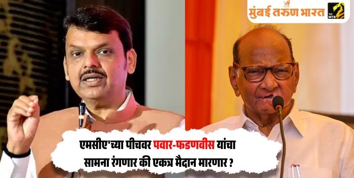 Devendra Fadnavis and Sharad Pawar