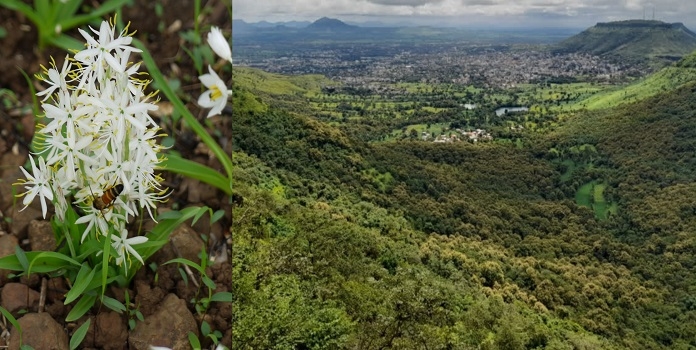 mahadare conservation reserve