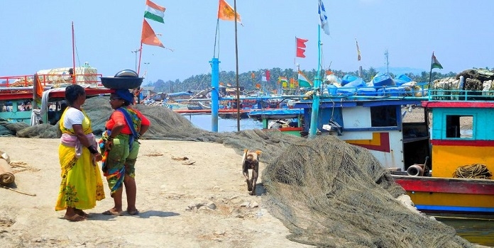 Maharashtra fisherman survey