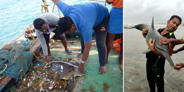 उपासना सागरी जीवांची