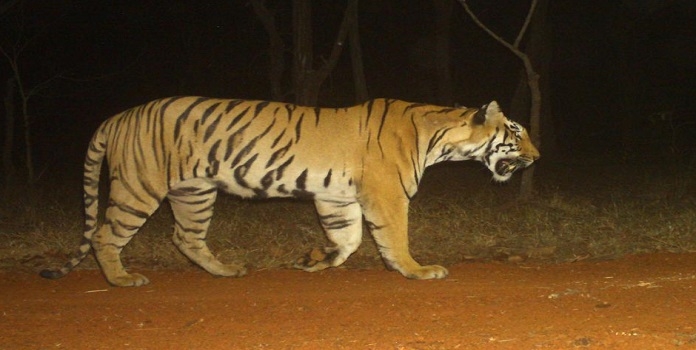 sahyadri operation tara