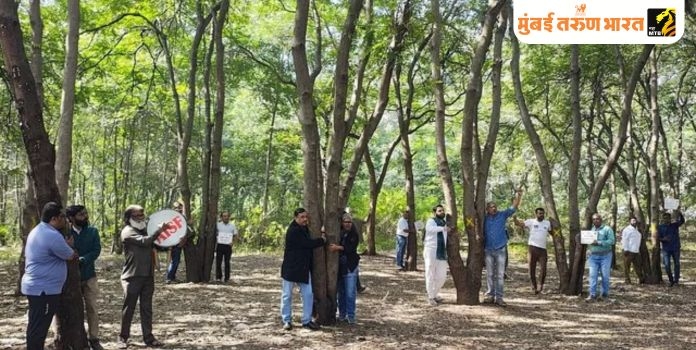 Controversy Over Tree Cutting Ahead of Nashik Kumbh Mela