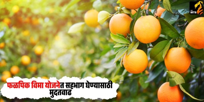 Fruit Crop Insurance Scheme