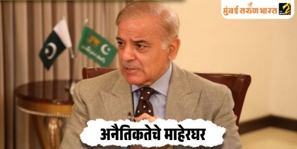 अनैतिकतेचे माहेरघर