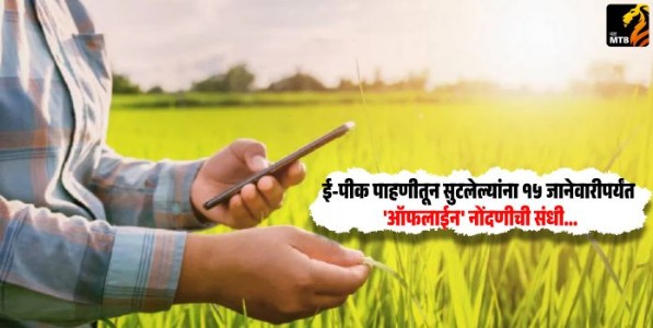 E-crop Inspection : ई-पीक पाहणीतून सुटलेल्यांना १५ जानेवारीपर्यंत 'ऑफलाईन' नोंदणीची संधी