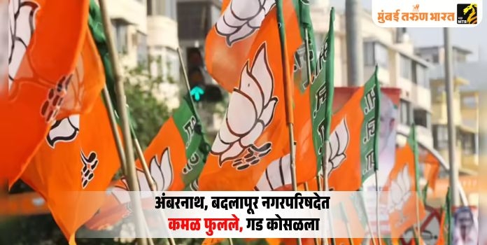 BJP Wins