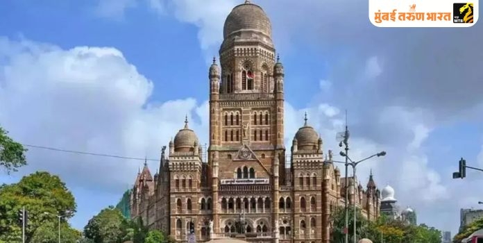 BMC Elections 