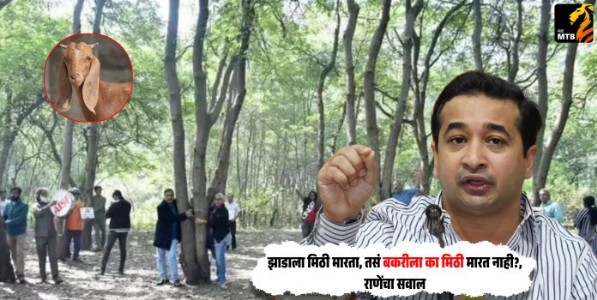 Kumbh Mela Nashik 2027 : झाडाला मिठी मारता, तसं बकरीला का मिठी मारत नाही?, राणेंचा सवाल