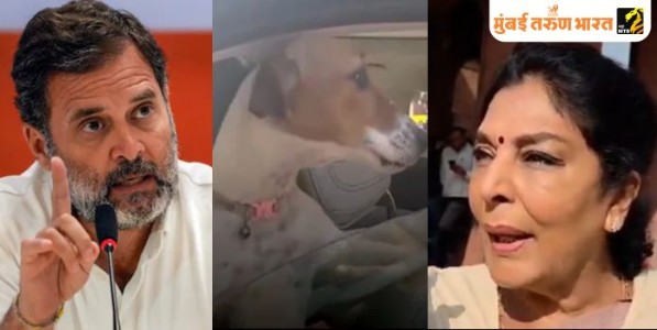 कुत्र्याचे शेपूट वाकडेच राहणार!