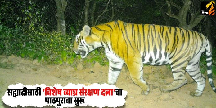 Sahyadri Tiger Reserve