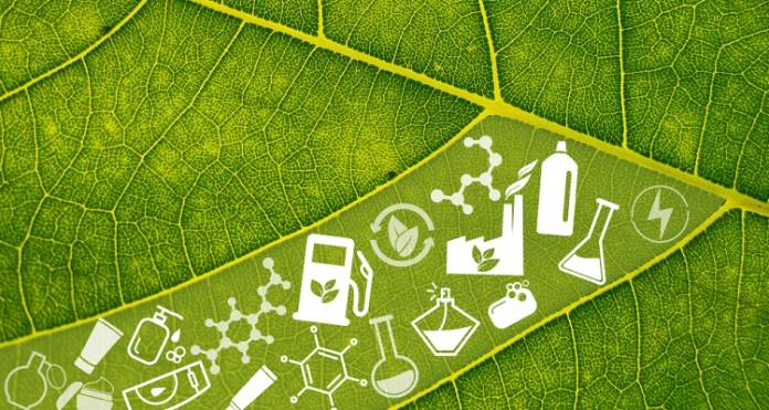 indian bio economical growth 