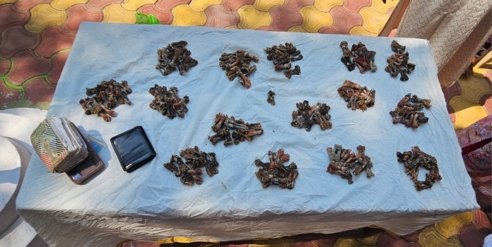 monitor lizard trafficking