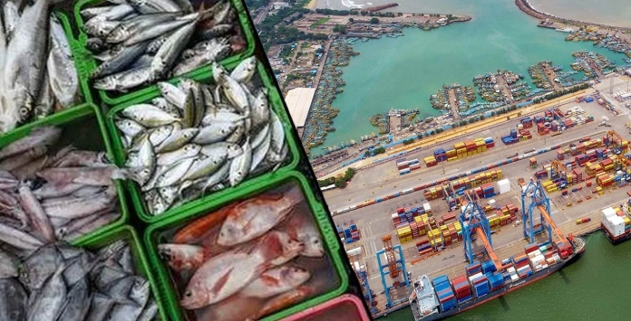 article about the india