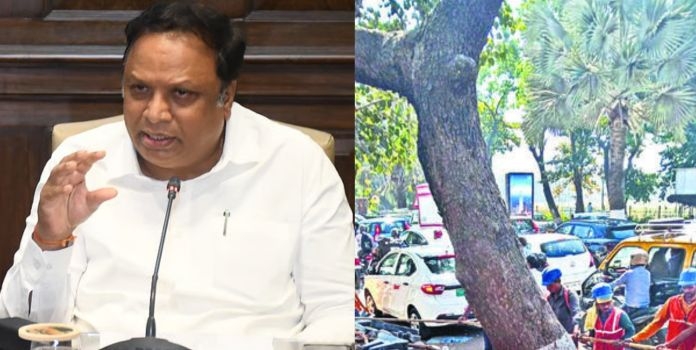 BMC took decision today as per the demand made by Mumbai Suburban Guardian Minister Ashish Shelar