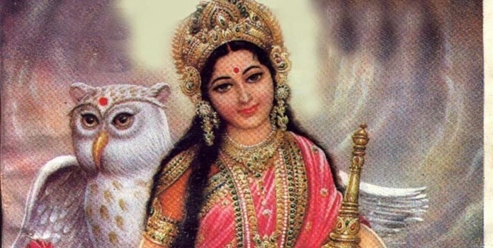 international owl awareness day international owl awareness day